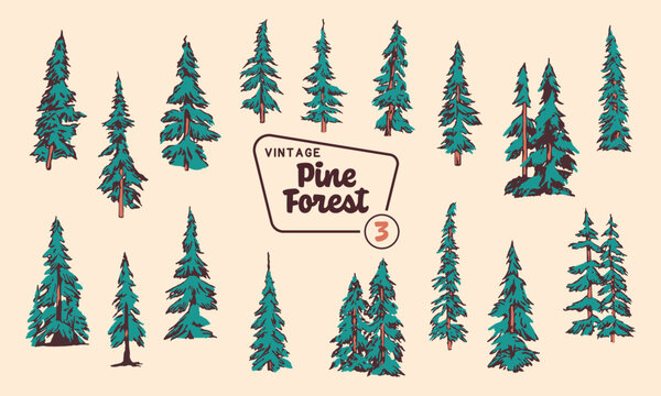 Pine Tree Vector Illustration Set - Hand-Drawn Vintage Mid-Century Style Designs.