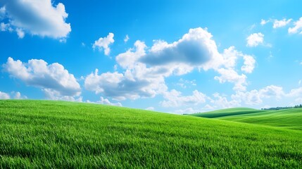 Obraz premium Green hills and fluffy clouds under a bright blue sky
