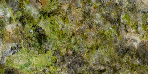 Obraz premium Green and brown mossy rock texture background for natural design projects