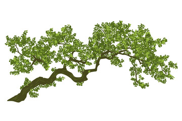 Tree branches silhouette isolated on white background. Vector illustration forest design and element landscape season. Autumn clip art and decoration abstract outdoor