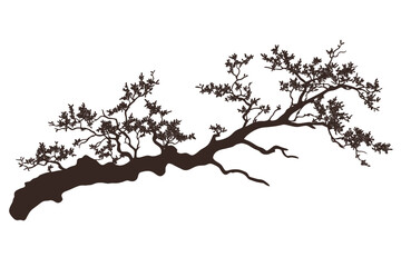 Tree branches silhouette isolated on white background. Vector illustration forest design and element landscape season. Autumn clip art and decoration abstract outdoor