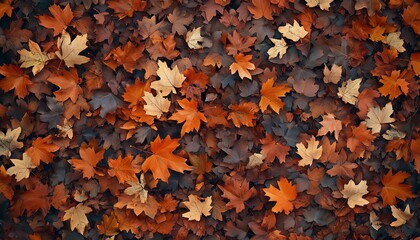 A beautiful display of colorful autumn leaves scattered on the forest ground, showcasing nature's seasonal beauty.