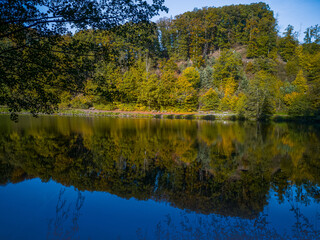 Beautiful autumn landscape with a forest on a little hill reflecting in a lake in front