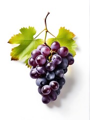 Fototapeta premium Fresh ripe purple red Grapes