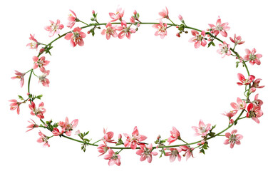 Delicate pink flowers arranged in oval frame, cut out