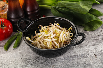 Soya bean sprouts in the bowl
