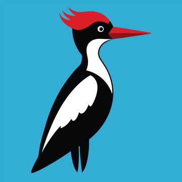 recommend clip art: Solid color Ivory-billed woodpecker animal vector design