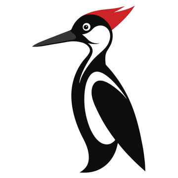 recommend clip art: Solid color Ivory-billed woodpecker animal vector design
