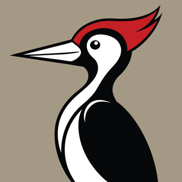 recommend clip art: Solid color Ivory-billed woodpecker animal vector design