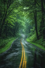 Fototapeta premium Serene road through a lush green forest tunnel, wet from recent rain