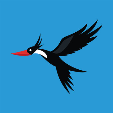 recommend clip art: Solid color Ivory-billed woodpecker animal vector design