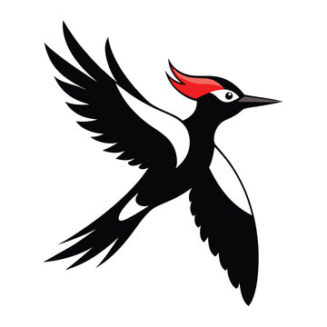 recommend clip art: Solid color Ivory-billed woodpecker animal vector design