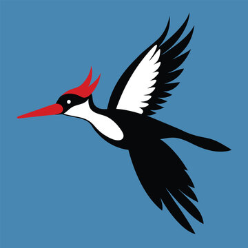 flying black and white woodpecker on blue clip art preview