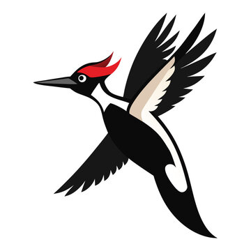 recommend clip art: Solid color Ivory-billed woodpecker animal vector design