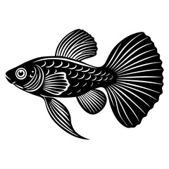 illustration of fish