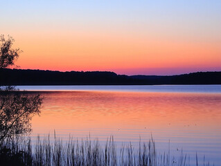 Fototapeta premium A beautiful sunset over a lake with a tree in the foreground. The sky is a mix of pink and orange hues, creating a serene and peaceful atmosphere. The water is calm and still
