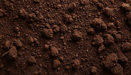 Fertile soil texture background seen from above, top view. Gardening or planting concept with copy space. Natural pattern