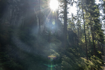 Obraz premium National Park of Adrspach Teplice rocks. Beautiful limestone sandstones rocks in Adrspach, Czech Republic. Adrspach Teplice Rocks mountain range in Central Sudetes part of the Table Mountains.