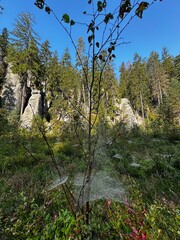 National Park of Adrspach Teplice rocks. Beautiful limestone sandstones rocks in Adrspach, Czech Republic. Adrspach Teplice Rocks mountain range in Central Sudetes part of the Table Mountains.