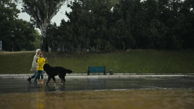 Side view of a happy teenage girl in a yellow jacket playing with her mom and a black dog during the rain in the park