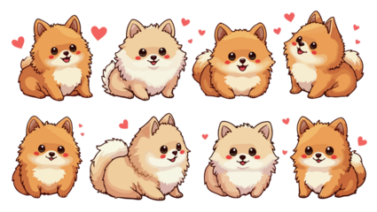set of cartoon cute pomeranian dog, isolated on white background , transparent vector style flat color png image	