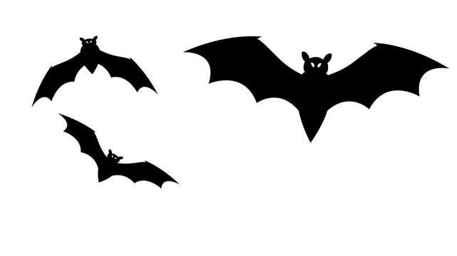 Silhouette of a flying bat on a white screen. Halloween concept.