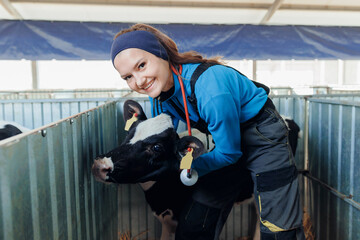 Vet doctor control health of calf and medical treatments in dairy farm . Cattle cow animal veterinary in agriculture industry © Parilov