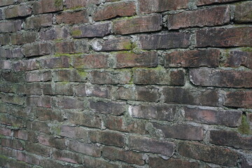 Green moss brick layer closeup view texture background, A bunch of green moss grown on a damaged brick wall, Mossy Weathered backdrop