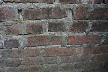 Green moss brick layer closeup view texture background, A bunch of green moss grown on a damaged brick wall, Mossy Weathered backdrop