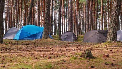 Summer Hiking Camp Tents Pitched Up Among Coniferous Forest Trees  © rohawk