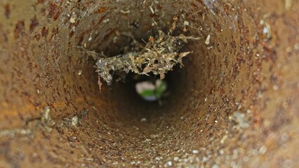 Camera Probe Pushed Through Thight Inside of Rusty Metal Pipe Macro Shot 