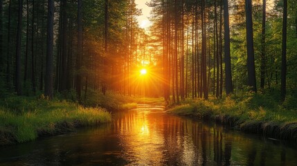 A serene and picturesque scene of a river winding through a lush pine forest as the sun sets, casting warm golden light on the water and trees. The image symbolizes peace, tranquility, nature's beauty