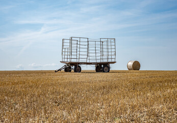 sheafs of hay on the field
