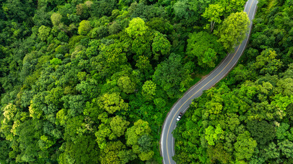 Road in the middle of the forest , road curve construction up to mountain, Rainforest ecosystem and...
