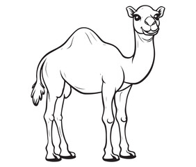Camel cartoon illustration coloring page of a cute camel