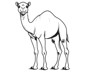 Camel cartoon illustration coloring page of a cute camel