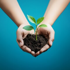 Hands holding a small green plant growing from the soil, isolated on a blue background.