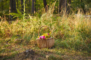 piknik,kosz,bukiet kwiatów  © Marcin Łazarczyk