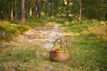 piknik,kosz,bukiet kwiatów  © Marcin Łazarczyk
