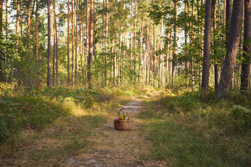 piknik,kosz,bukiet kwiatów  © Marcin Łazarczyk