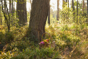 piknik,kosz,bukiet kwiatów  © Marcin Łazarczyk