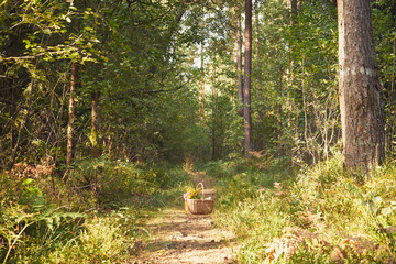 piknik,kosz,bukiet kwiatów  © Marcin Łazarczyk