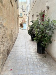 Fototapeta premium Malta 