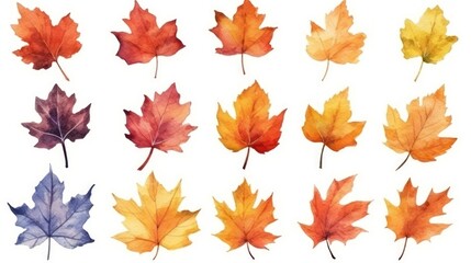 Fototapeta premium A collection of colorful watercolor autumn leaves, beautifully isolated on a white background, ideal for fall-themed projects, seasonal decorations, or nature art inspirations.