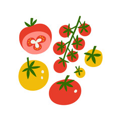 Tomato set hand drawn flat vector illustration. Fresh vegetable red and yellow tomatoes print for kitchen, menu, food package design. Healthy cute organic product.