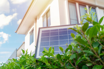 Mini solar cell panel setting on top of tree wall over house and blue sky. Photo concept of natural resource