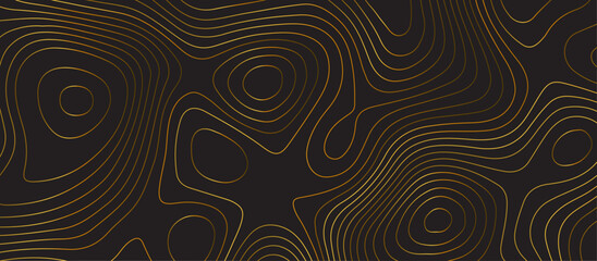 Black topology topography vector abstract design digital background seamless contour map texture territory geography desktop wallpaper and design for print work