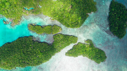 Lush green tropical island surrounded by crystal clear water. A paradise perfect for summer and travel