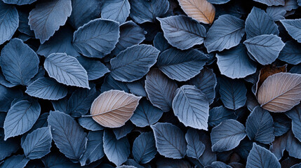 Tying up perennial stalks and tidying up the garden for winter, delicate frost forming on fallen leaves 