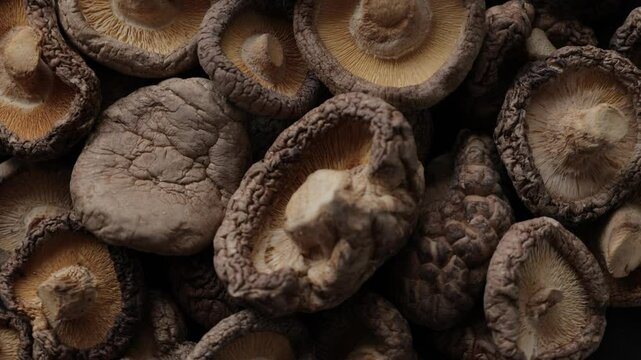 dried shiitake mushrooms